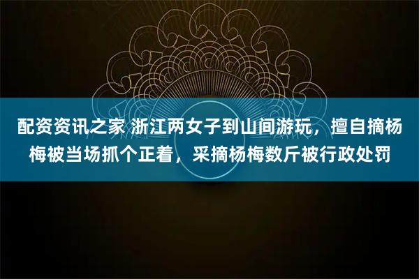 配资资讯之家 浙江两女子到山间游玩，擅自摘杨梅被当场抓个正着，采摘杨梅数斤被行政处罚